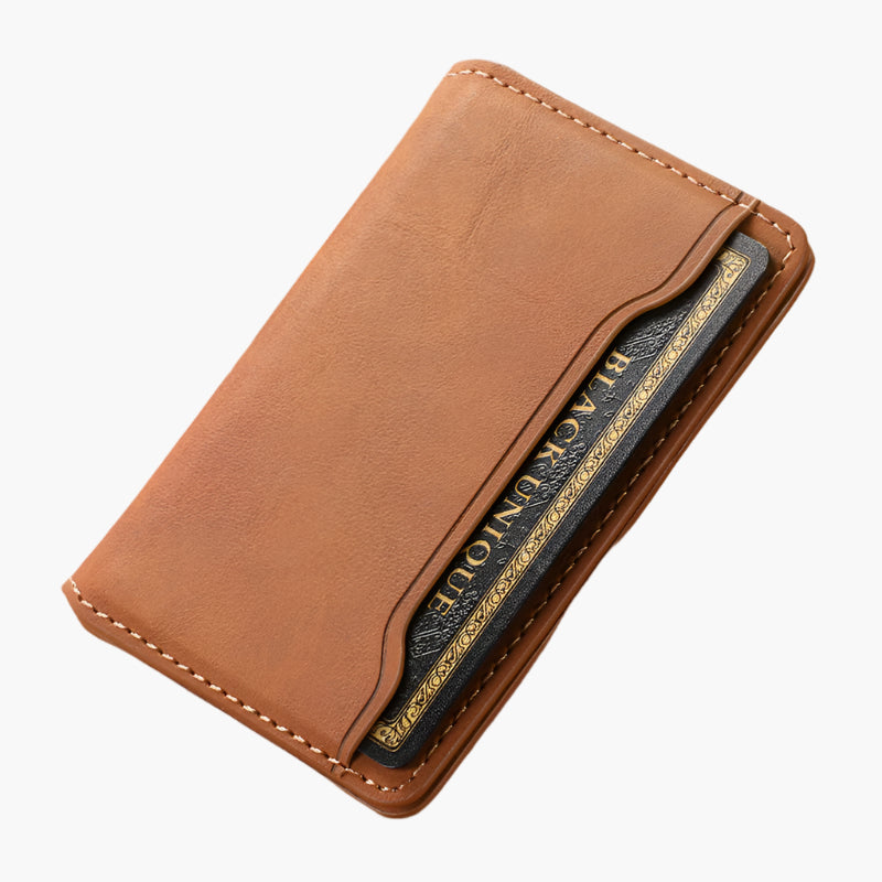 Vesvero MagWallet