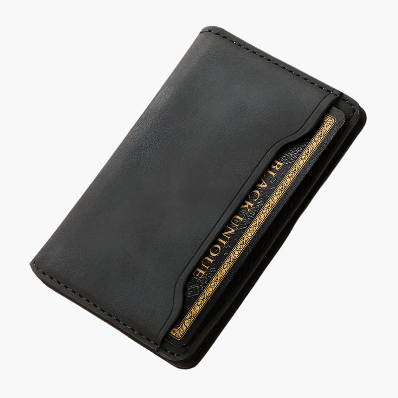 Vesvero MagWallet